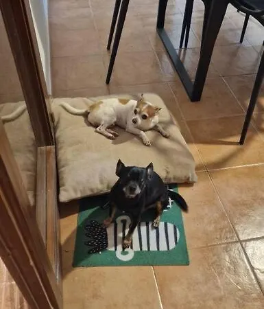 Villa Náay Playa Blanca (Lanzarote)