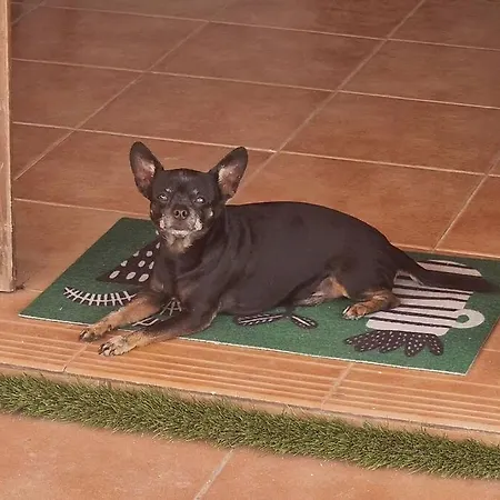 Náay Villa Playa Blanca (Lanzarote)
