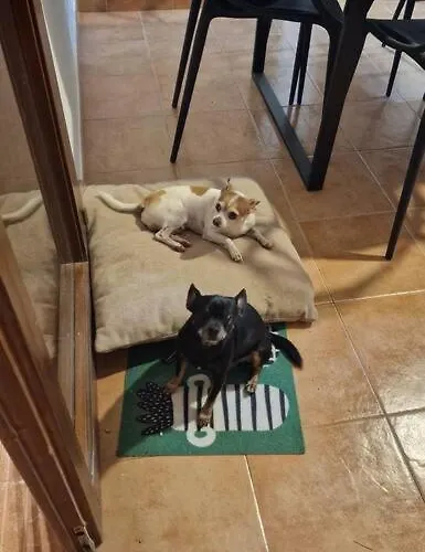 Βίλα Naay Πλάγια Μπλάνκα