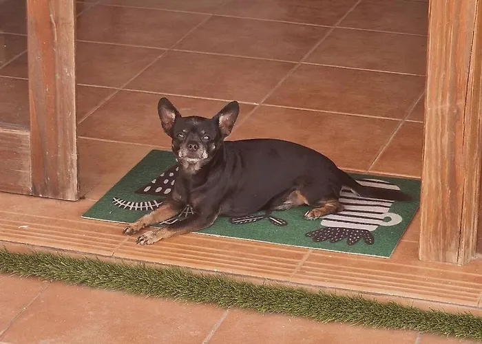 Naay Βίλα Πλάγια Μπλάνκα